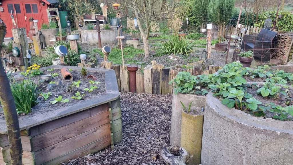 Saisonale Kräuter Frühling