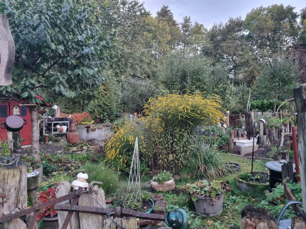 Saisonale Kräuter Herbst