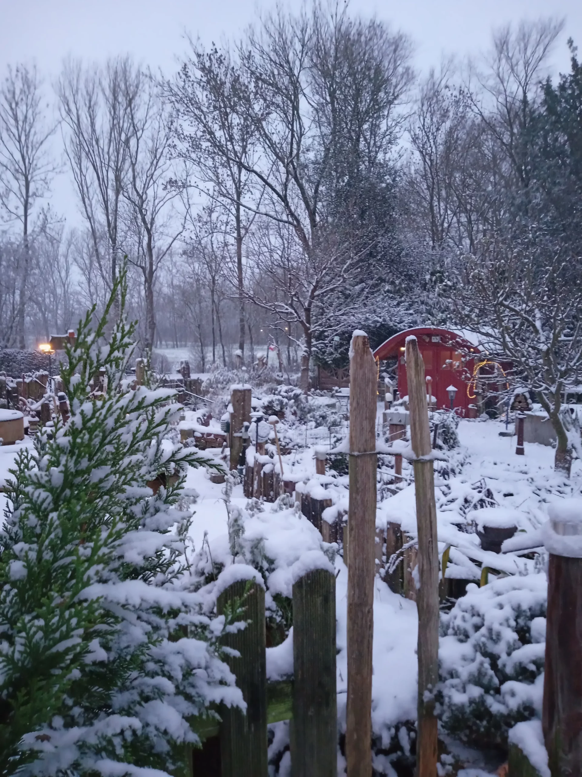 Saisonale Kräuter Winter