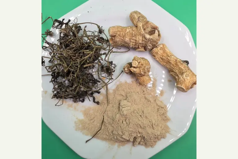 Getrocknete Ginsengwurzelstücke und Pulver auf einem weißen Teller