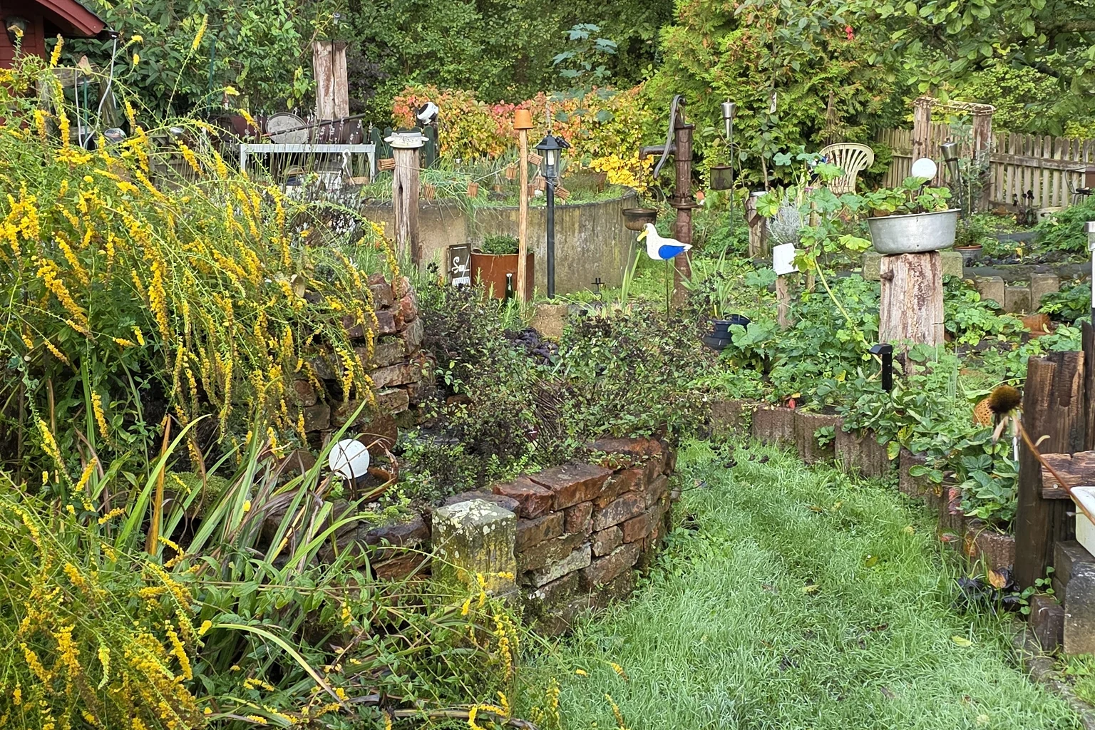Ein Weg zwischen Kräuterbeeten und gelb blühenden Pflanzen im Herbst