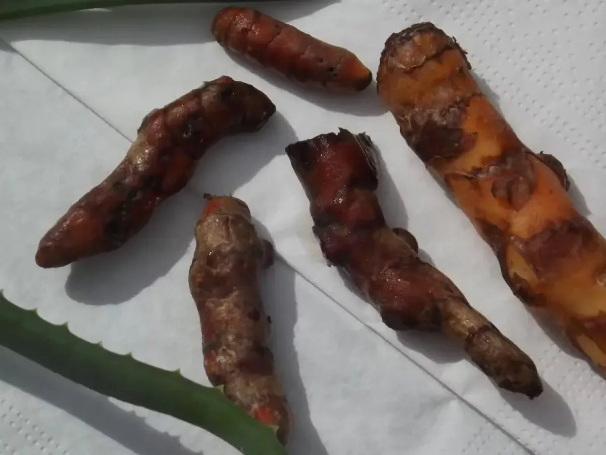 Kurkuma, goldgelbe Wunderknolle, gesund, würzig, entzündungshemmend