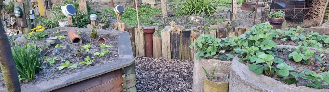 Saisonale Kr&auml;uter Fr&uuml;hling