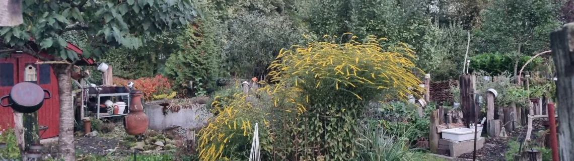 Saisonale Kräuter Herbst